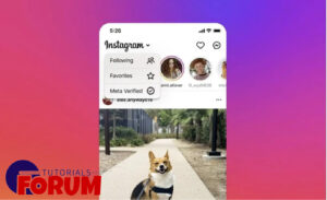 Instagram Verified users