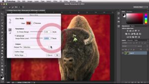 Focus Area Selection in Photoshop CC 2014