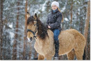 How to Add Falling Snow to Photos with Photoshop