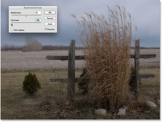 Applying A Brightness Contrast Image Adjustment In Photoshop