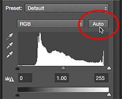 How To Apply The Auto Image Commands As Adjustment Layers In Photoshop