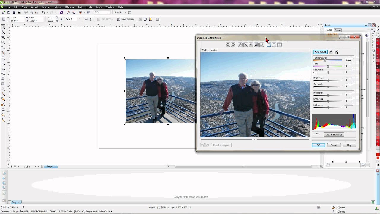 Image Adjustment Lab