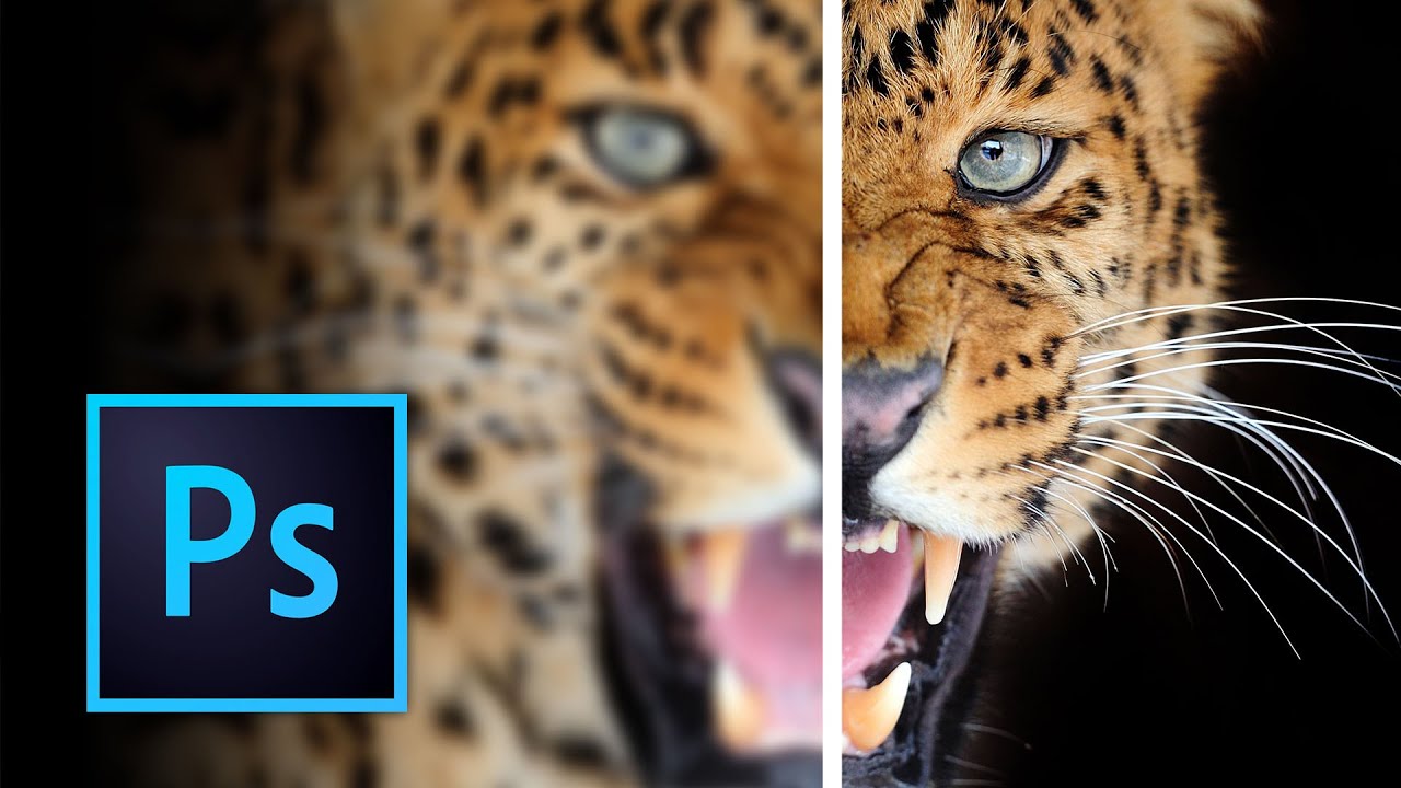 How To Sharpen Images in Photoshop