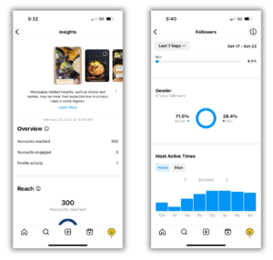 How to Use Instagram Insights for Business Accounts
