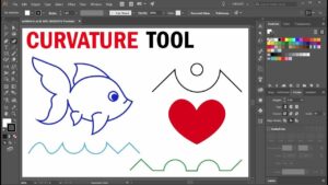 How to use the curvature tool in Adobe Illustrator